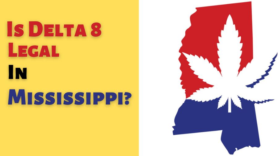Is Delta 8 Legal in Mississippi